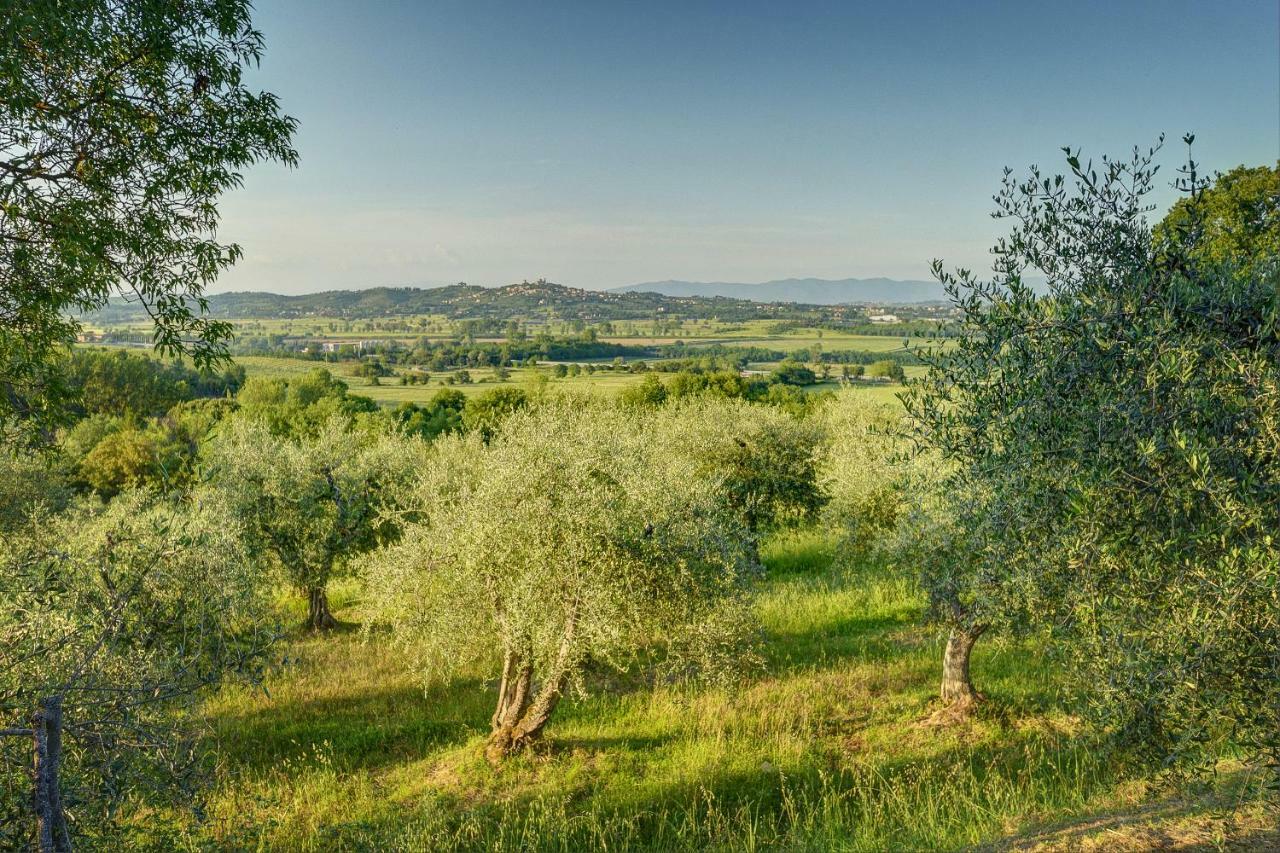 Tuscan Roots Villa La Croce Exterior photo